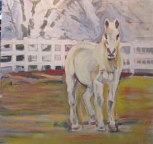 horse 1 stage 2
