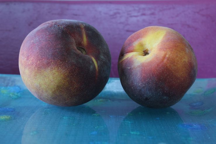 peaches photo