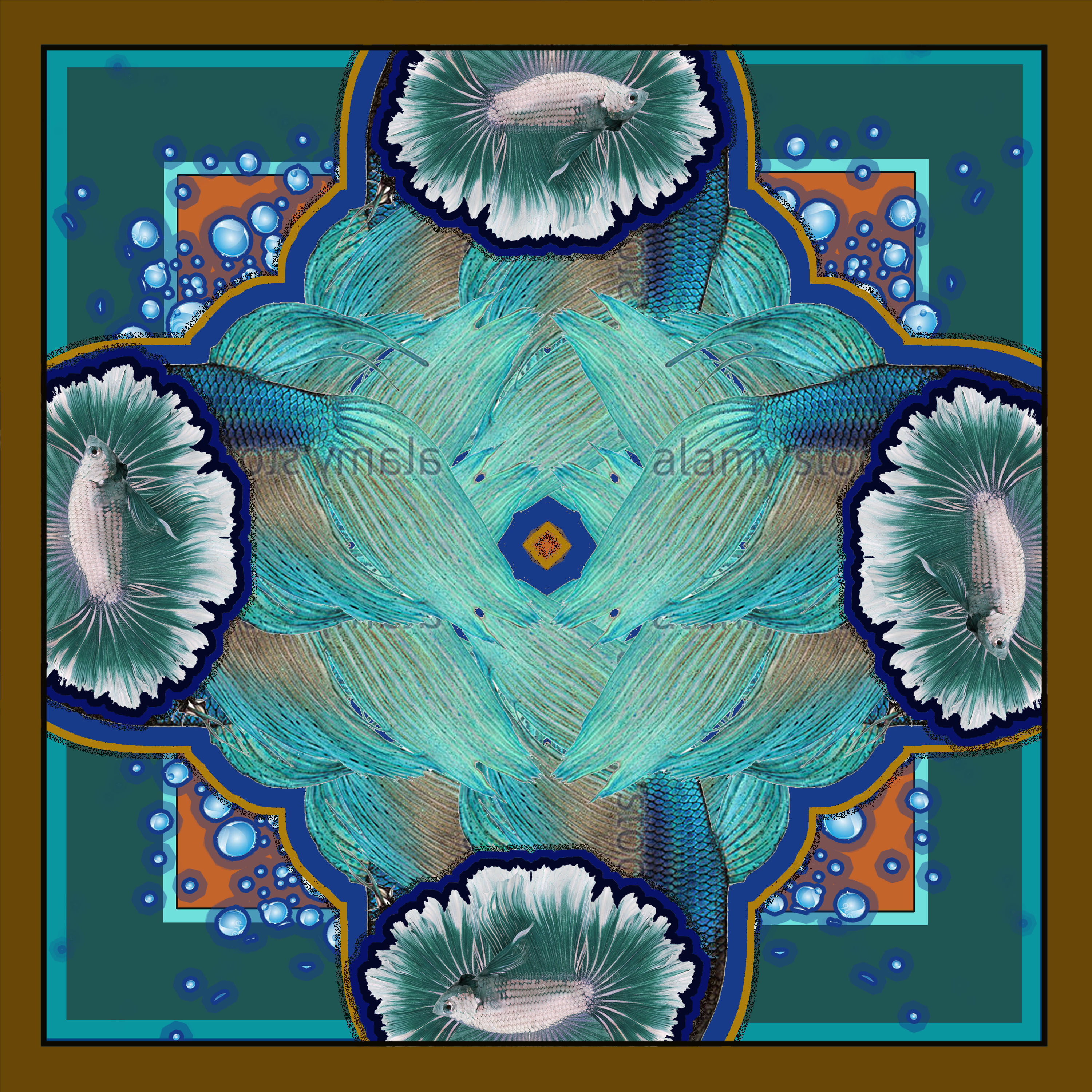 joy-mcgugan-betta 2 radial